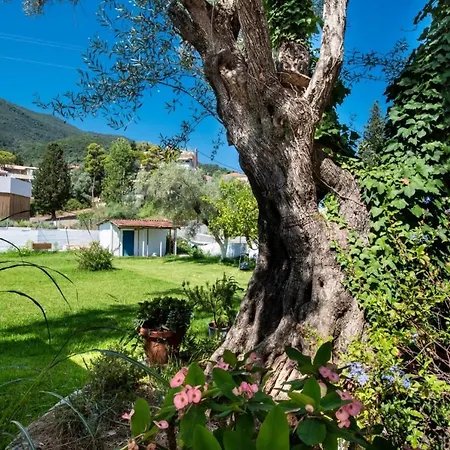Pansion Porto Fino Appart hôtel